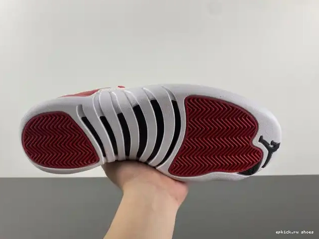 Rep 12 Alternate Jordan 130690-600 Air 0528